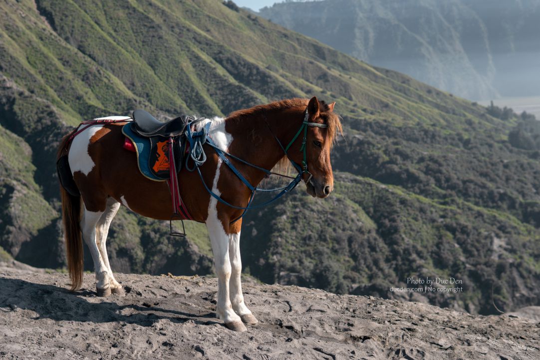 mount bromo java indonesia32