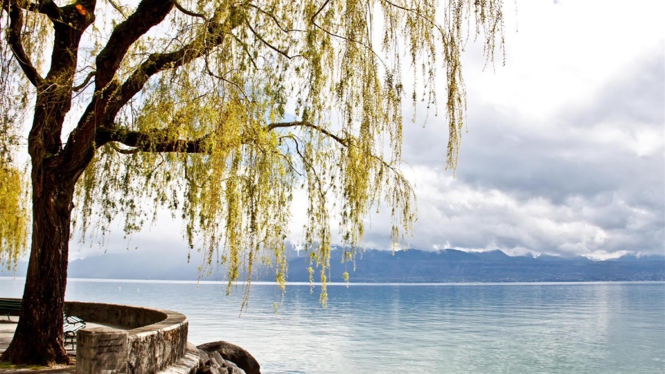 geneva switzerland guide travel0