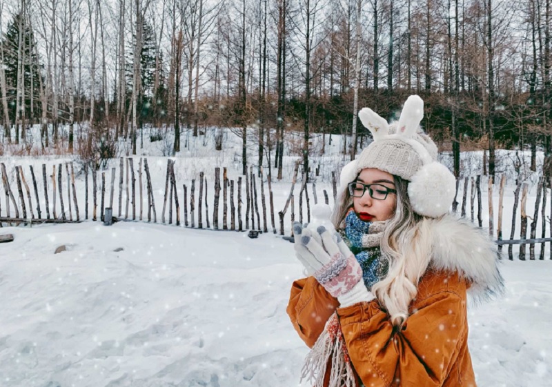 daegu winter