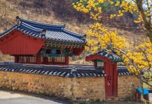 Daegu travel blog — The fullest Daegu travel guide for first-timers