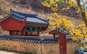 Daegu travel blog — The fullest Daegu travel guide for first-timers