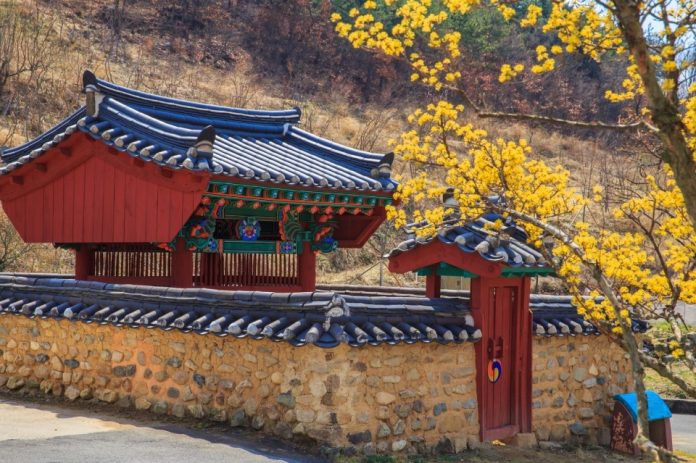 Donghwasa Temple daegu