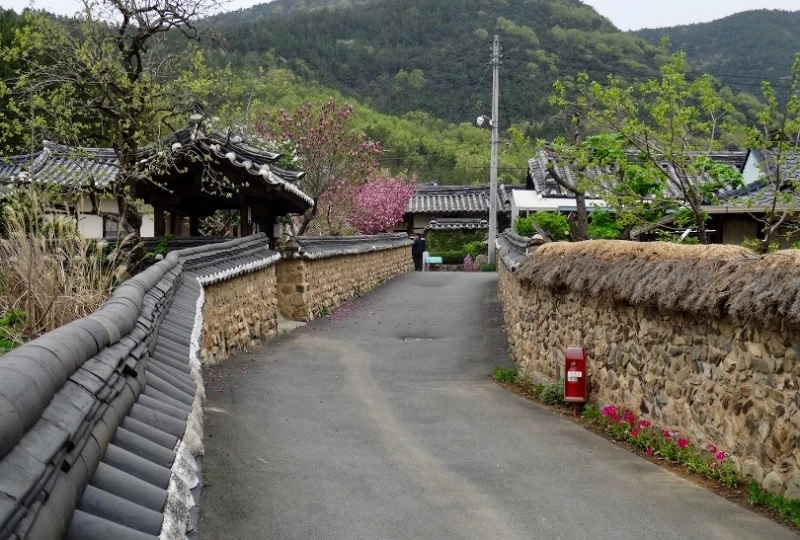 Kinh-nghiem-du-lich-Daegu-tu-tuc-lang-Otgol