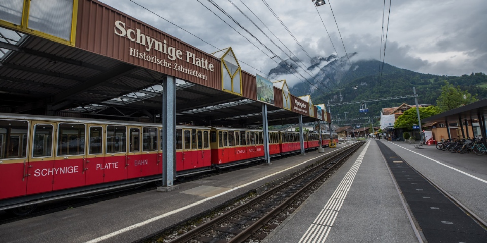 wilderswil schynige platte railway switzerland