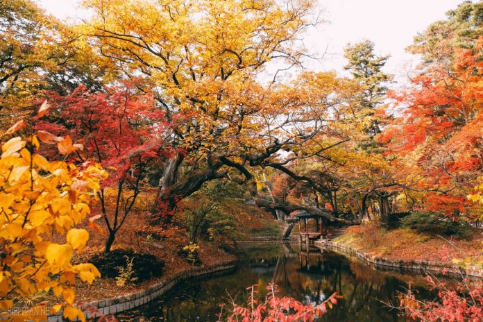 Changdeokgung Palace seoul1