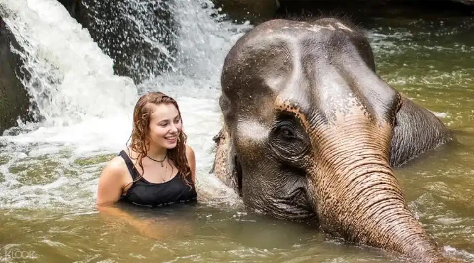 Phuket Elephant Sanctuary, Phuket