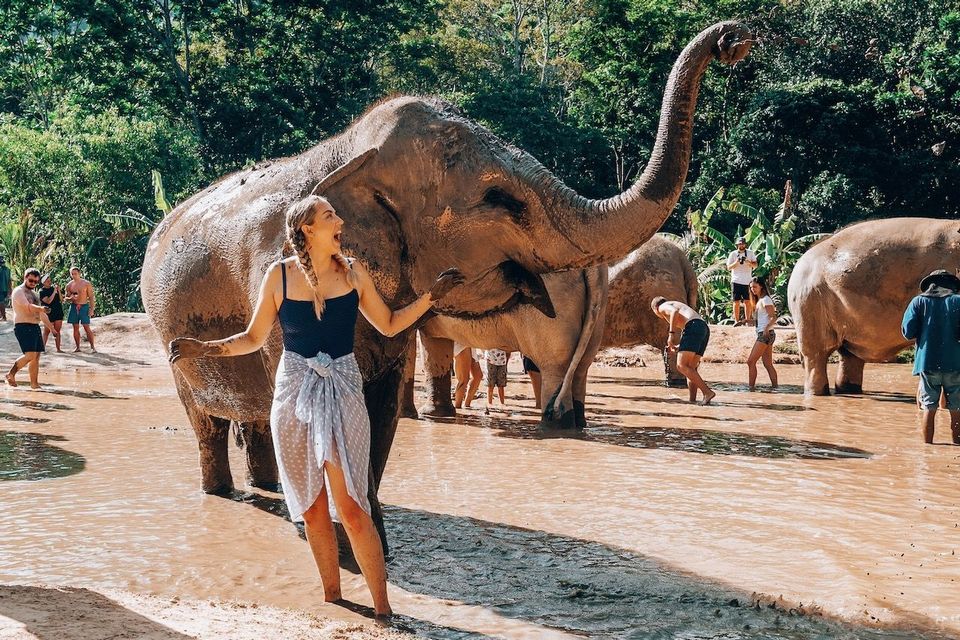 Mud bath in Phuket Elephant Sanctuary park