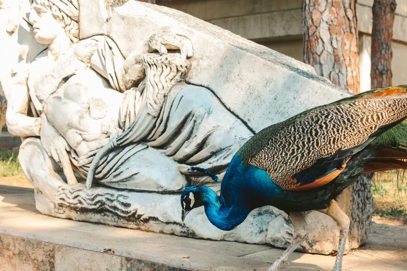 Antalya museum3
