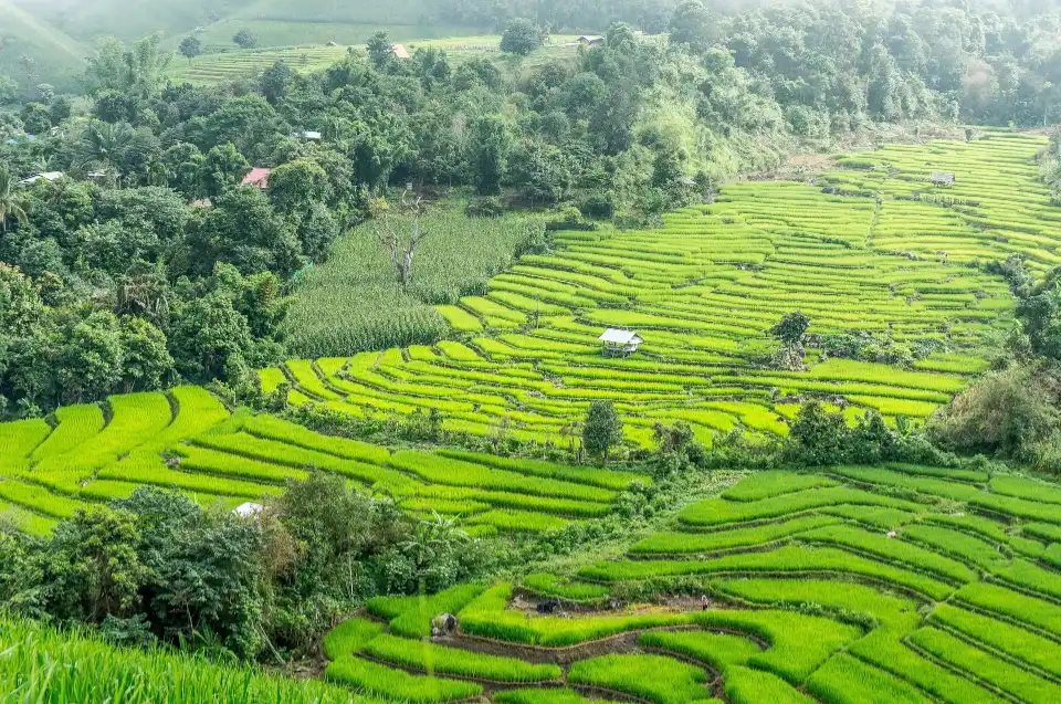 pai mae hong son