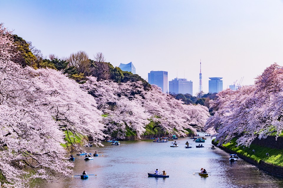 The northwestern moat surrounding the Imperial Palace grounds, Tokyo