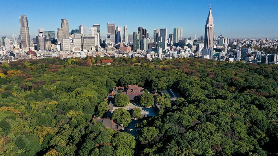 Meiji Shrine, Tokyo