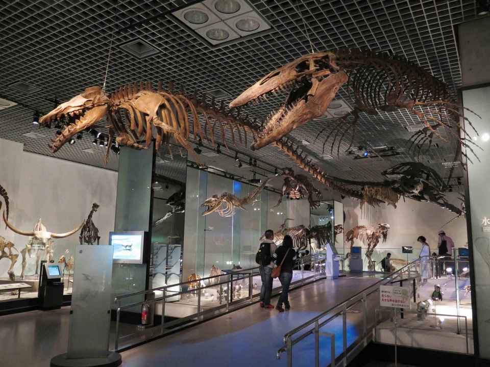 Tokyo National Museum Honkan