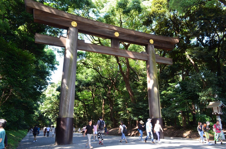 Torii gates