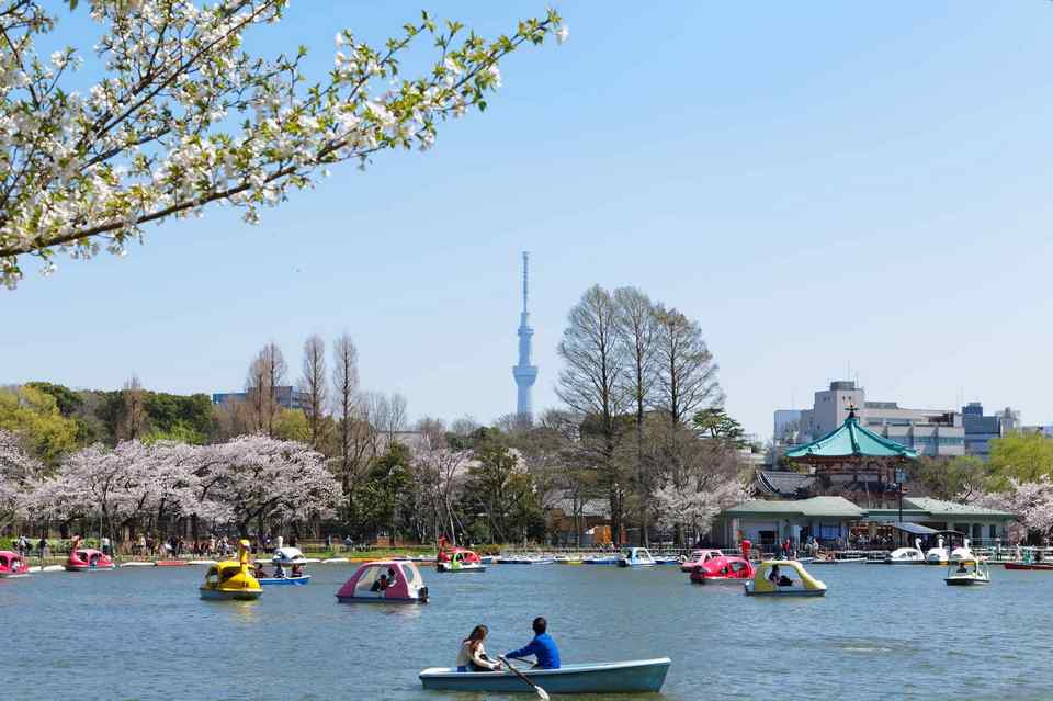 Ueno park, Tokyo 2