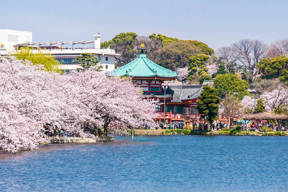 Ueno park, Tokyo