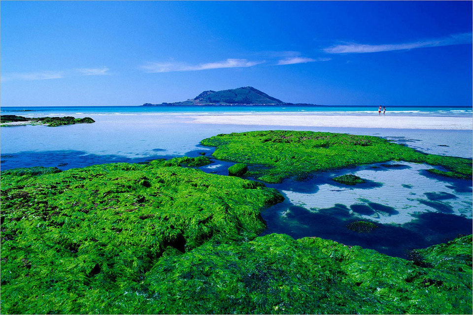 Island-hopping in South Korea