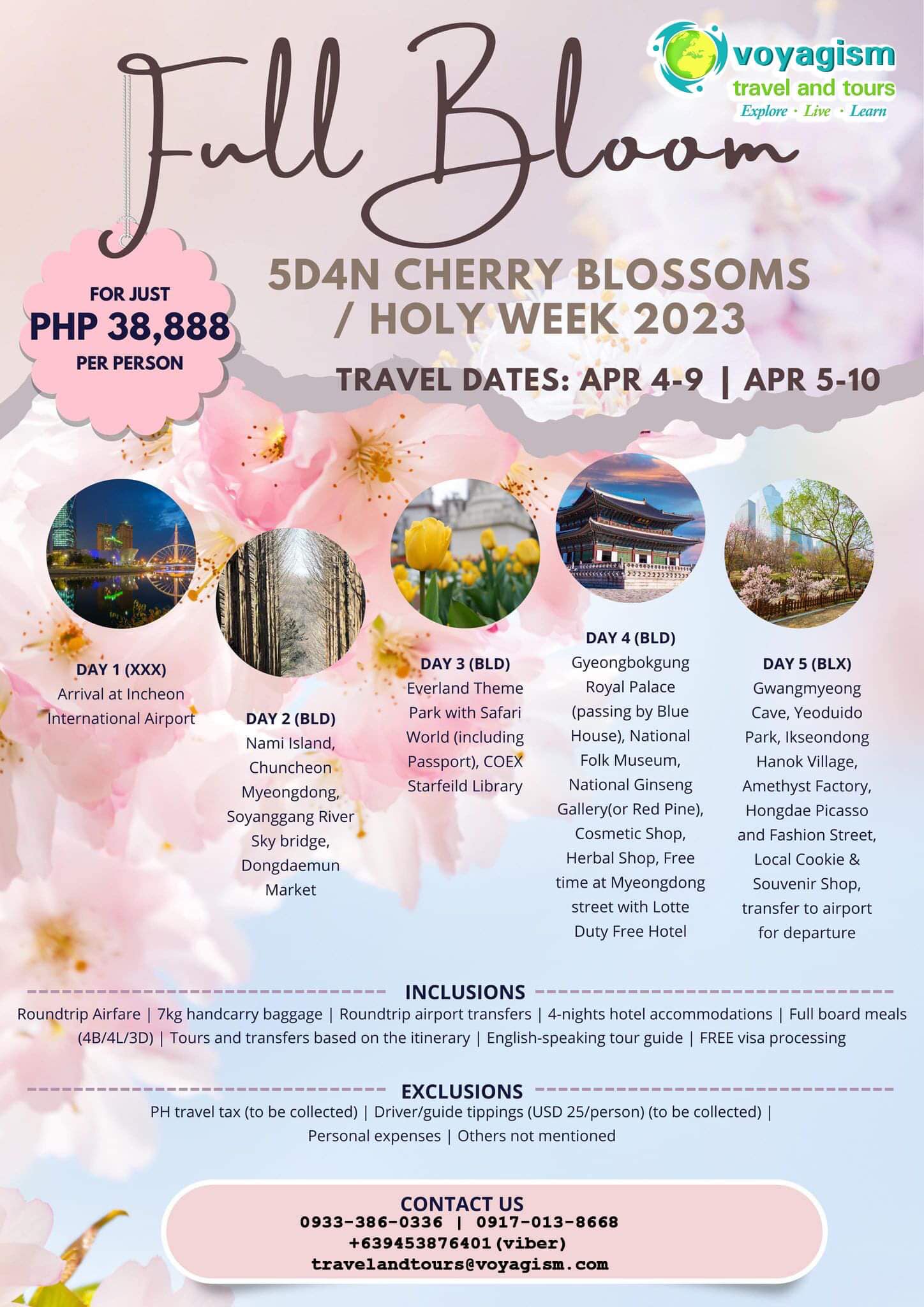 1Korea-Cherry-Blossom-Forecast-1-724×1024