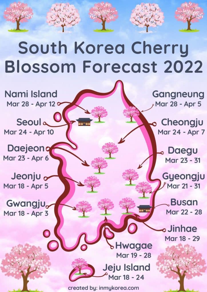 Korea-Cherry-Blossom-Forecast-1-724×1024