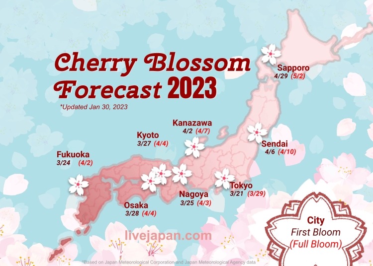 japan cherry blossoms 2023