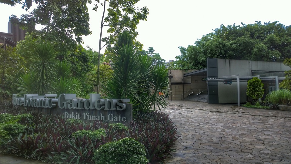 Bukit Timah at Singapore Botanic Gardens 2