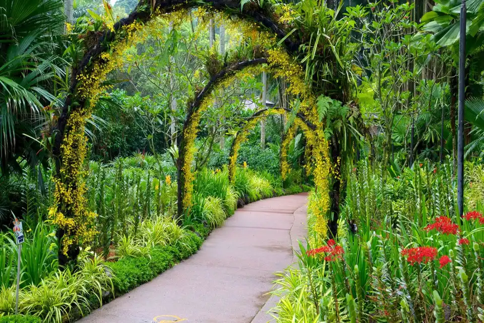 Trellis graden at Bukit Timah, Singapore Botanic Gardens