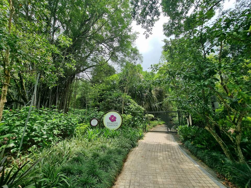 Healing garden inside Central core, Singapore Botanic Gardens