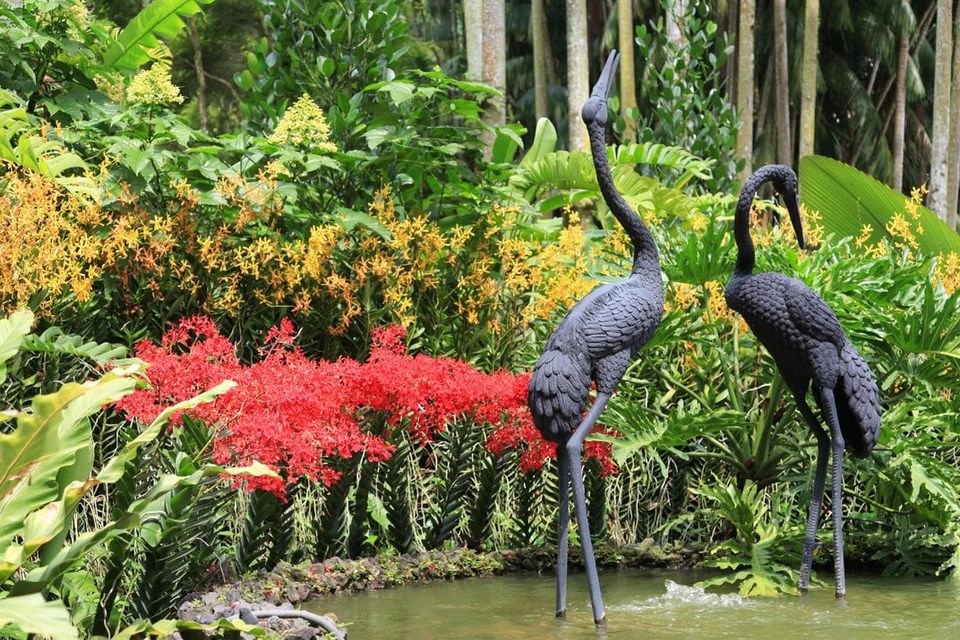 Orchid garden, Singapore Botanic Gardens 2