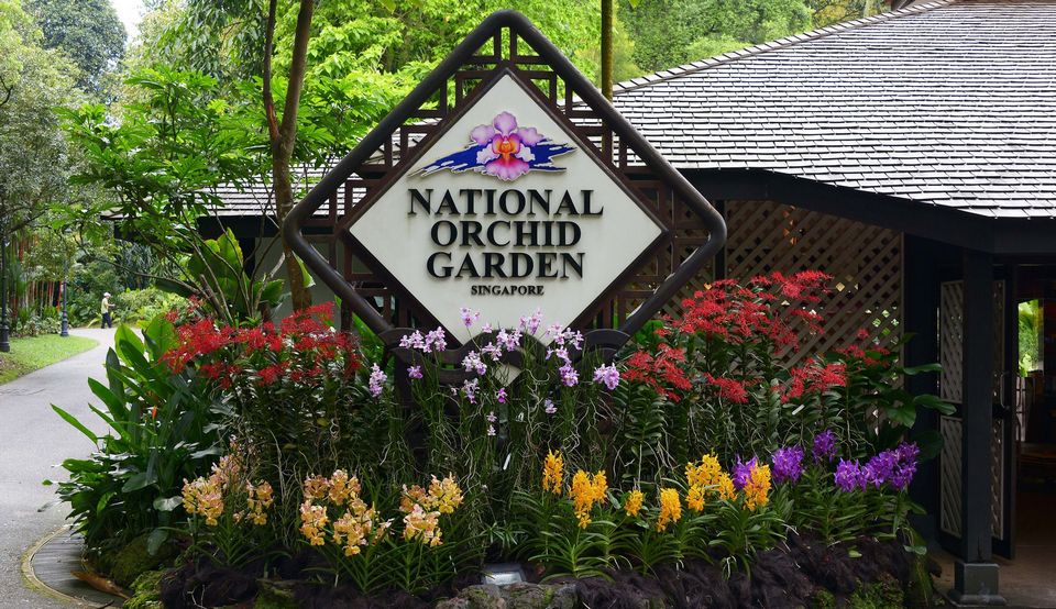 Orchid garden, Singapore Botanic Gardens