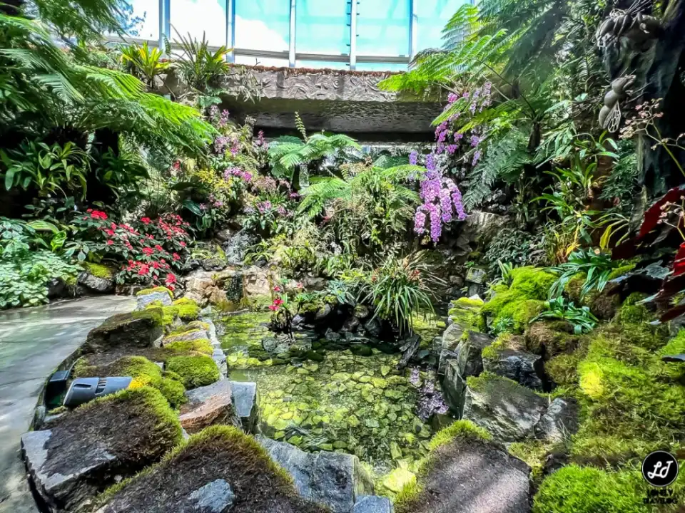 Orchid garden, Singapore Botanic Gardens
