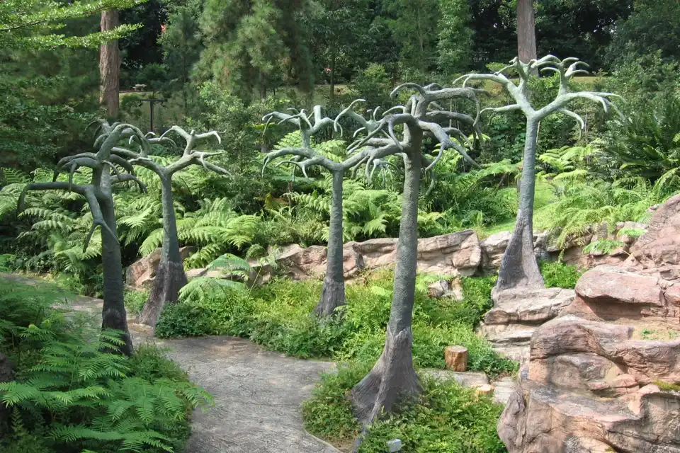 Rubber trees in Singapore Botanic Garden