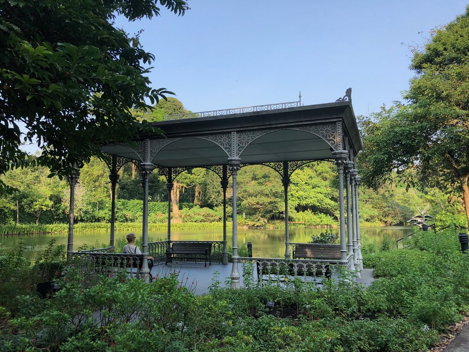 Singapore Botanic Garden 2