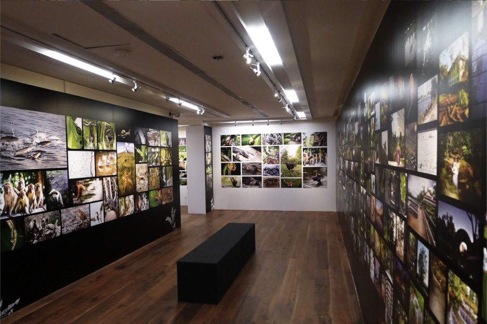 CDL Green Gallery, Singapore Botanic Gardens 2