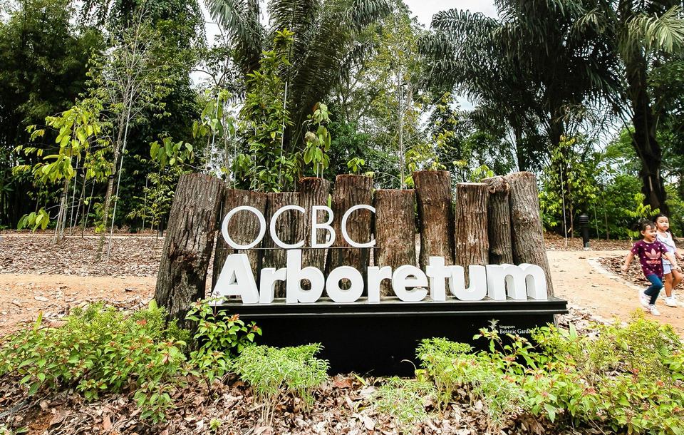 OCBC Arboretum, Singapore Botanic Gardens