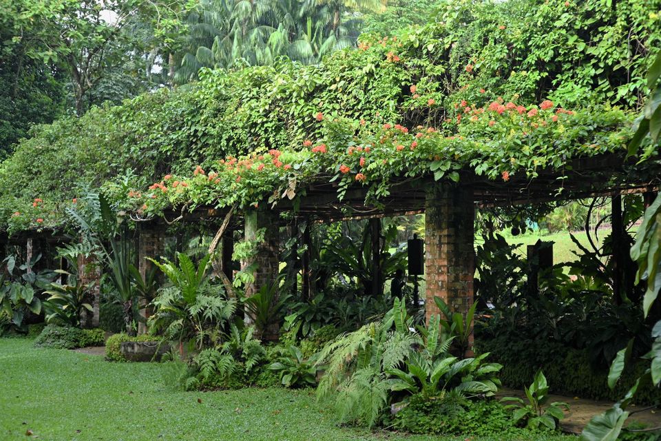 Plant House at Singapore Botanic Gardens 2