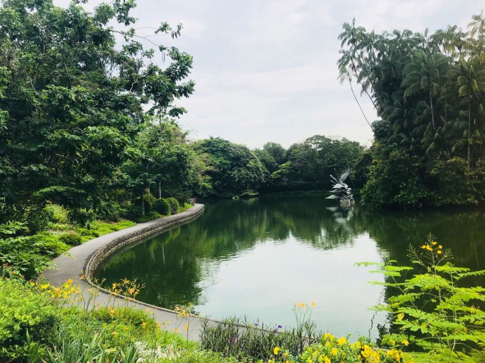 Walk trail through Singapore Botanic Garden