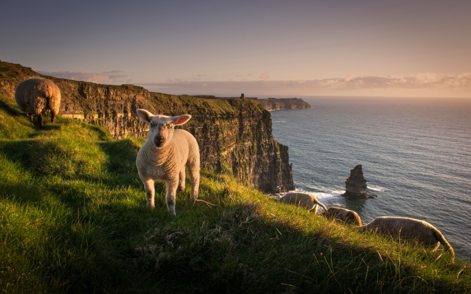 moving-to-ireland-without-job