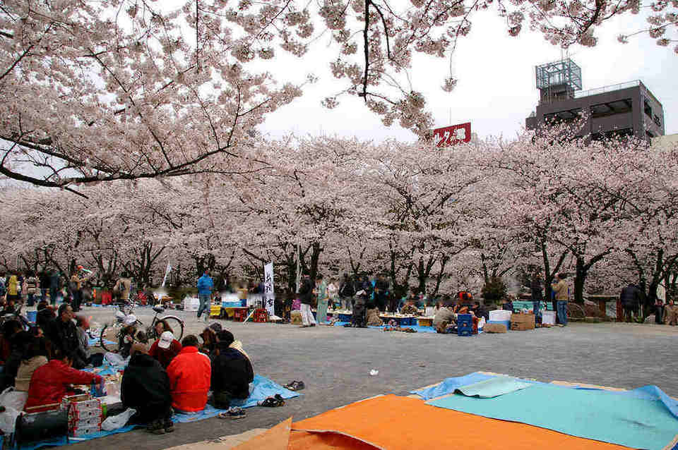 Sumida Park, Asakusa, Japan 2