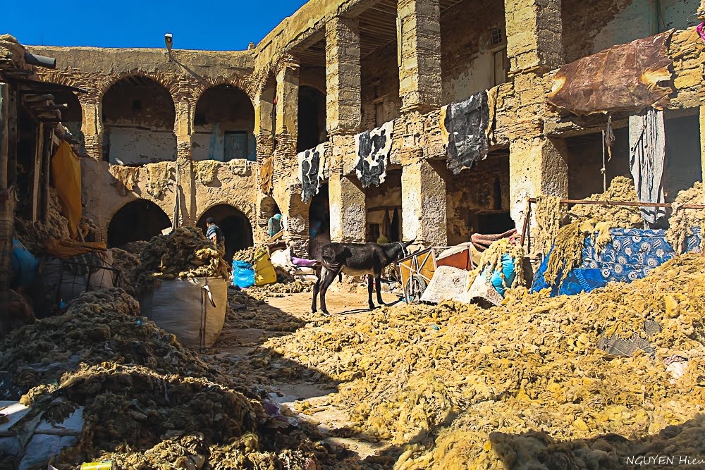 fes fez morroco28