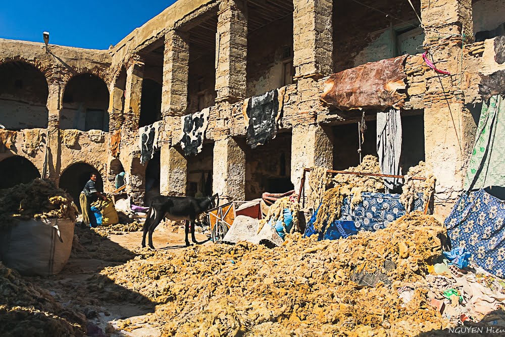 fes fez morroco29
