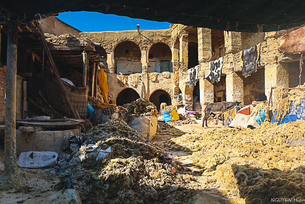 fes fez morroco30