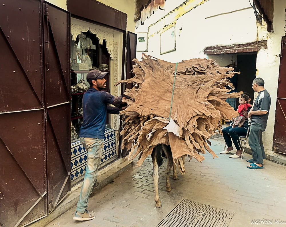 fes fez morroco45