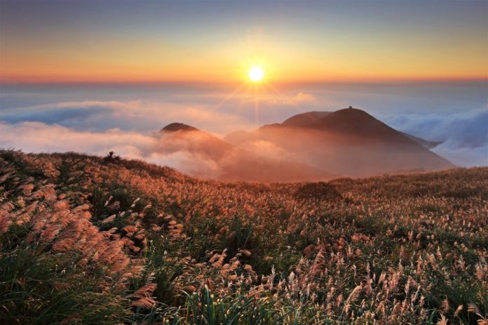 yangmingshan taiwan blog3