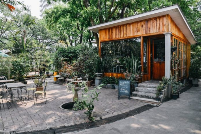Best-cafes-Chiang-Mai-Thailand_Forest Bake2