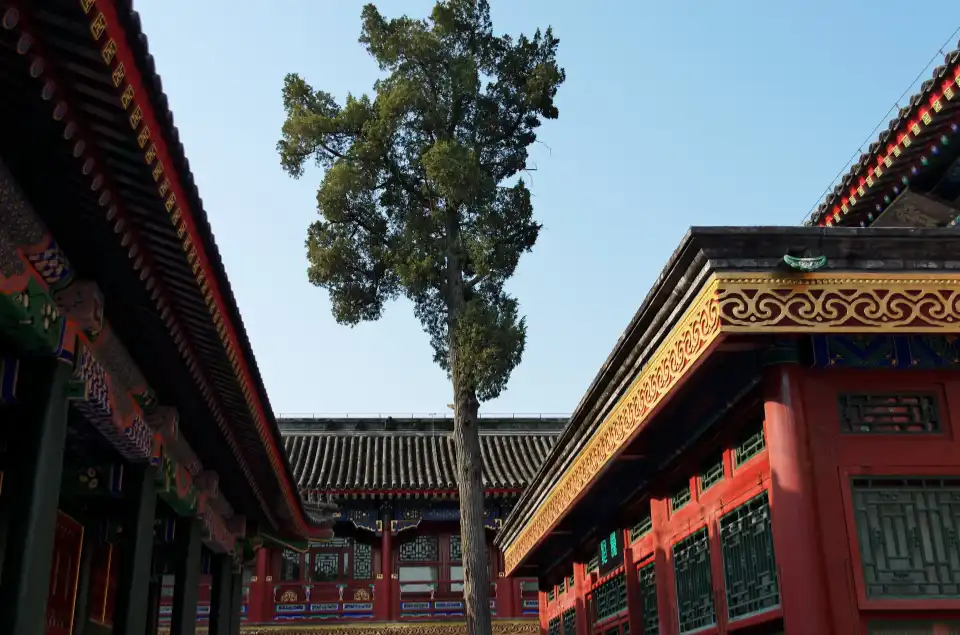 Prince Gong’s Mansion beijing3