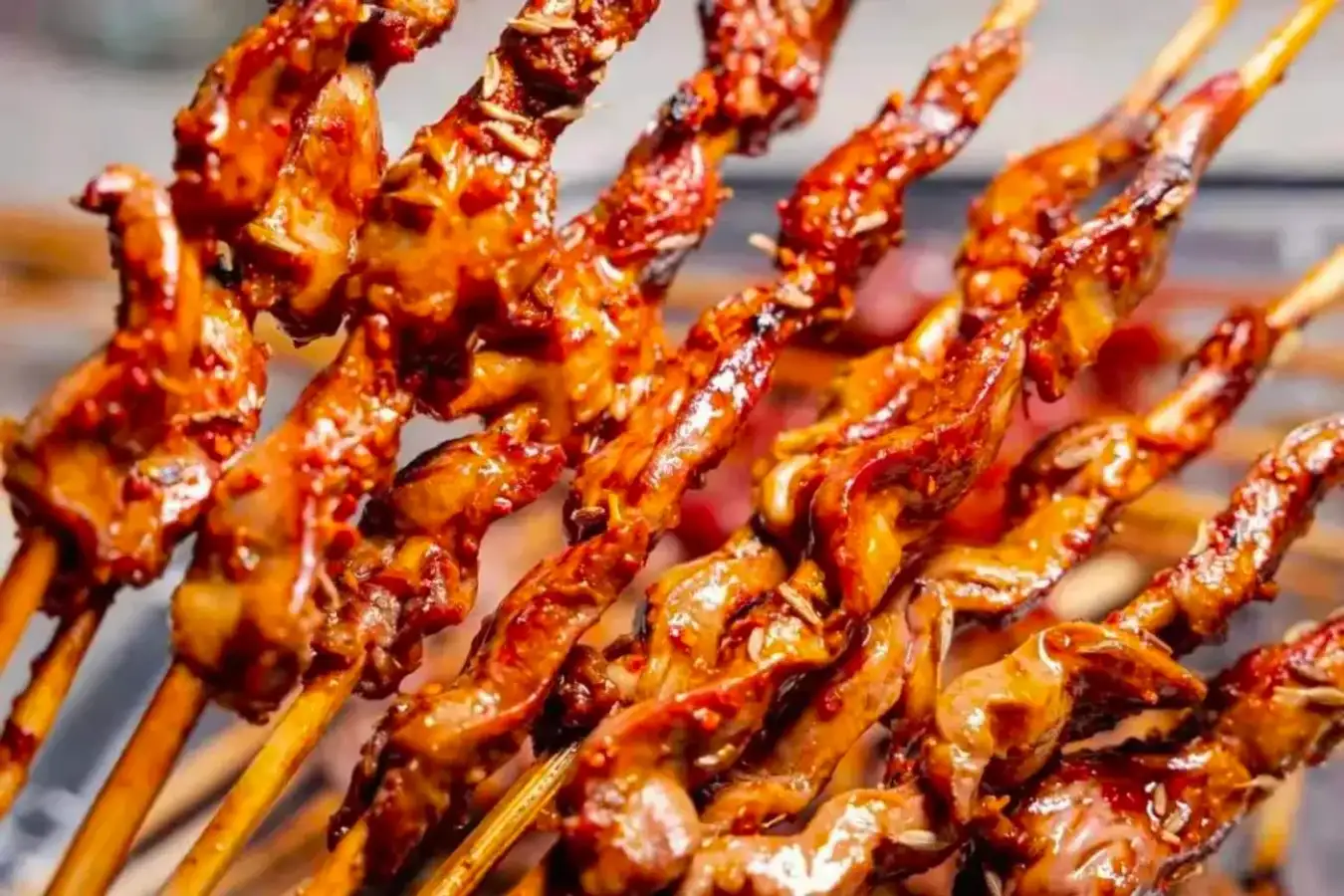 chuan ‘er skewers xian