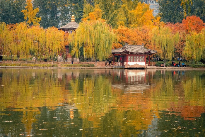 xian autumn