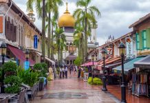 Singapore itinerary 5 days — How to spend 5 days in Singapore budget for the first-timers?