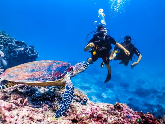 Scuba diving, Koh Phi Phi, Thailand3