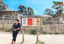Australia itinerary 10 days — What to do & how to spend 10 days in Australia perfectly?
