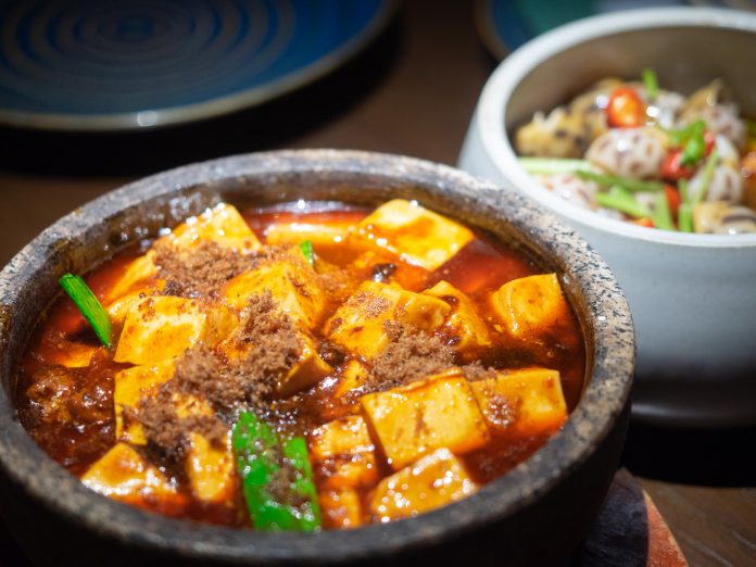 song-spicy-tofu-1guangzhou